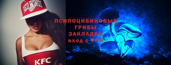 индика Киренск