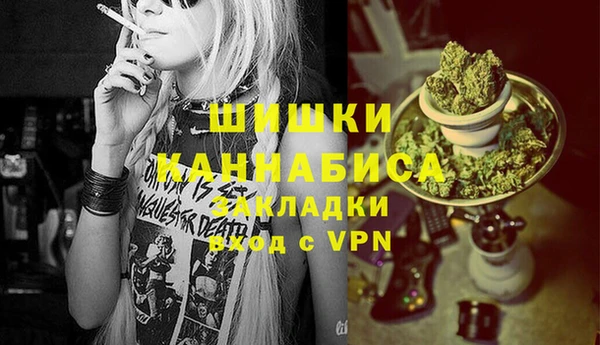 индика Киренск
