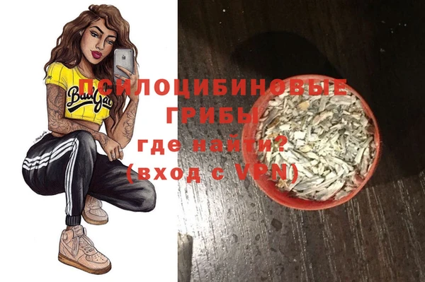 индика Киренск