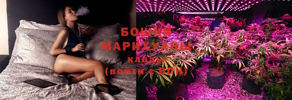 крисы Кинешма