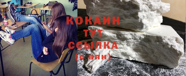 индика Киренск