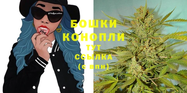 индика Киренск