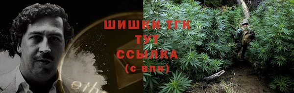 крисы Кинешма