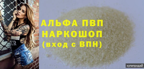 индика Киренск