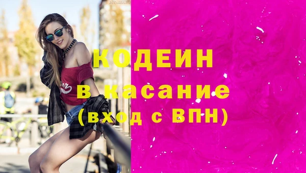 индика Киренск
