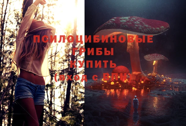 кокс Киреевск