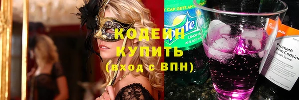 индика Киренск