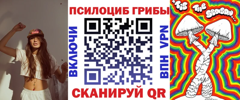 Псилоцибиновые грибы GOLDEN TEACHER  закладки  Камышин 